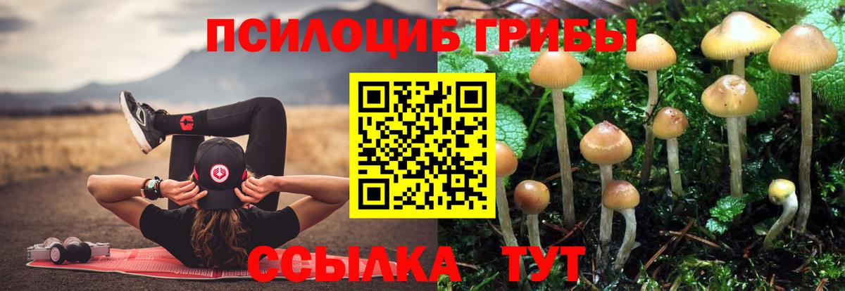 Луга  Галлюциногенные грибы Magic Shrooms  Псилоцибиновые грибы Cubensis  Вход с VPN 